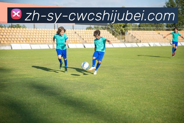 世界杯买球服务体系